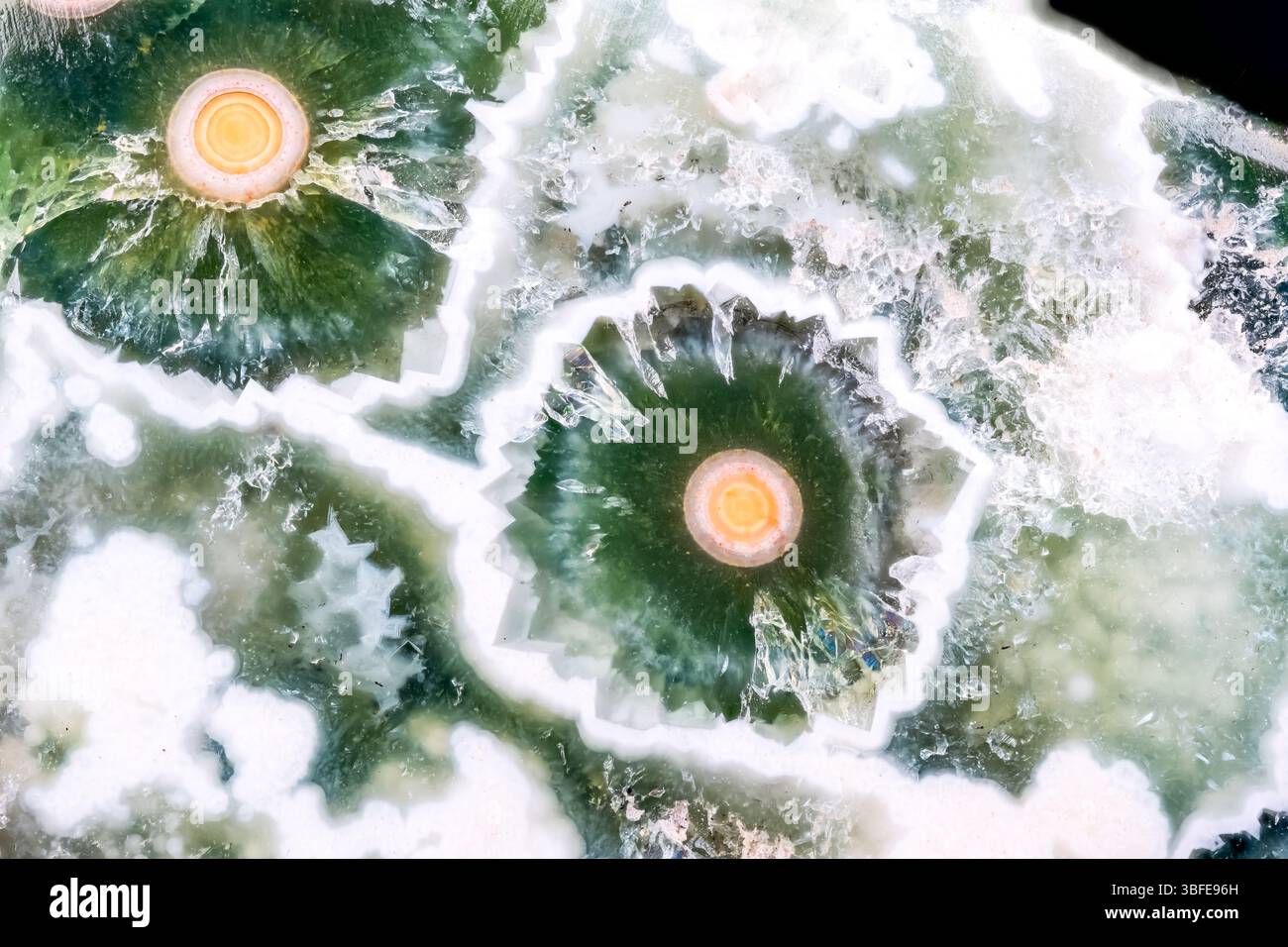 Ocean jasper lucido. texture di dettaglio macro-fotografia. pietra preziosa minerale lucidata per primi piani. Foto Stock