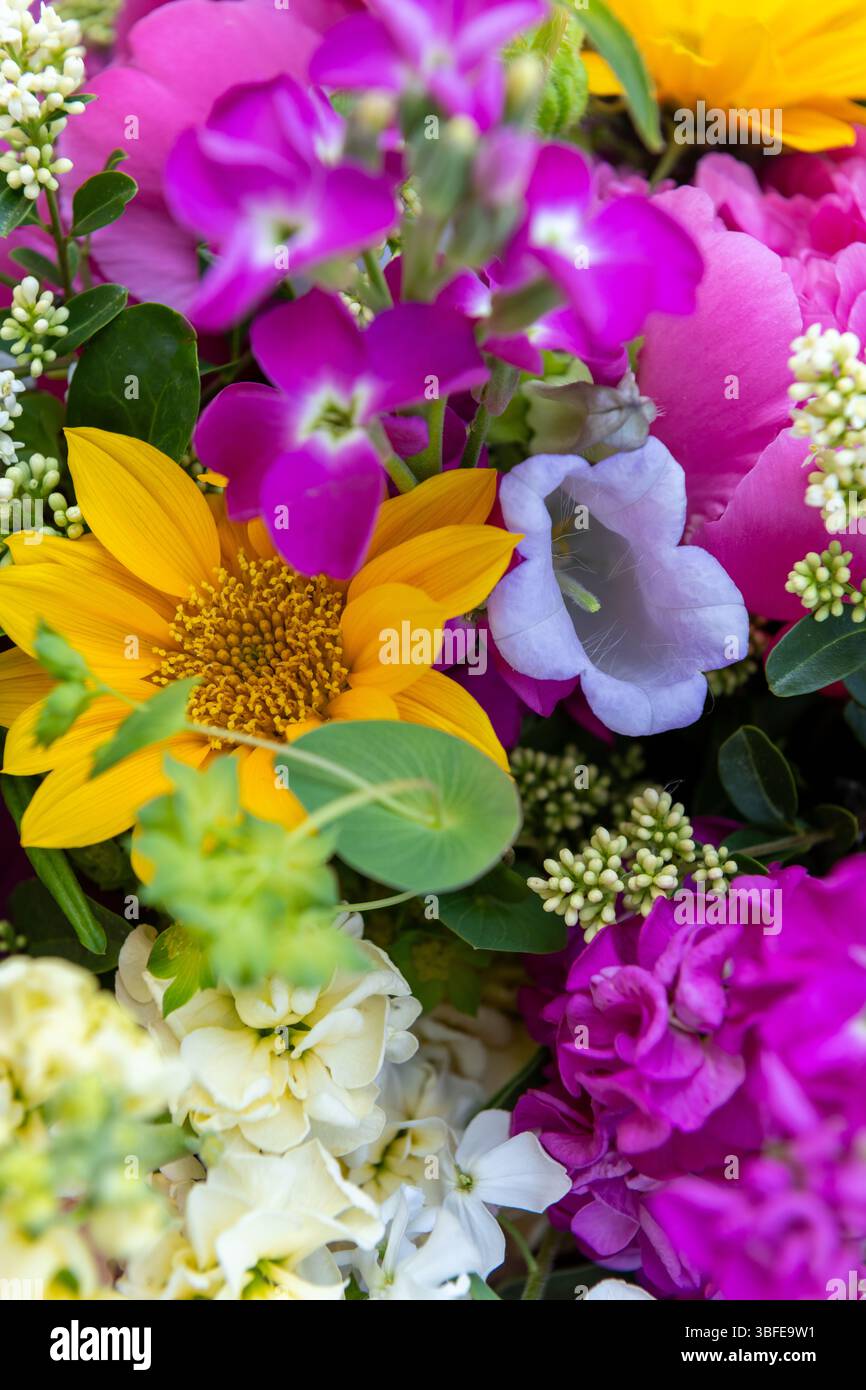 Bouquet di fiori avvolti di fiori primaverili misti. Splendidi fiori freschi dai colori vivaci. Bouquet di compleanno con peonie e girasoli Foto Stock