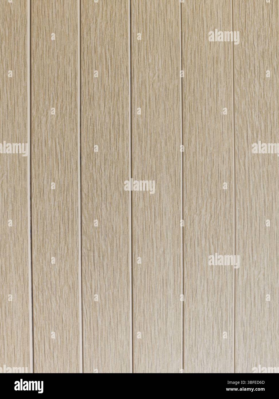 Questi pannelli in legno presentano una consistenza liscia e un colore chiaro, creando un'atmosfera calda e invitante in interni moderni. Ideale per migliorare desi Foto Stock