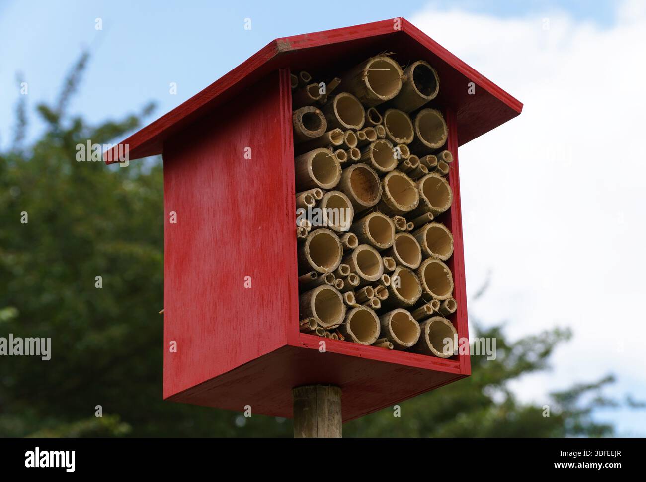 Struttura in legno, progettata per insetti benefici, con una collezione di tubi di bambù cavi. Foto Stock