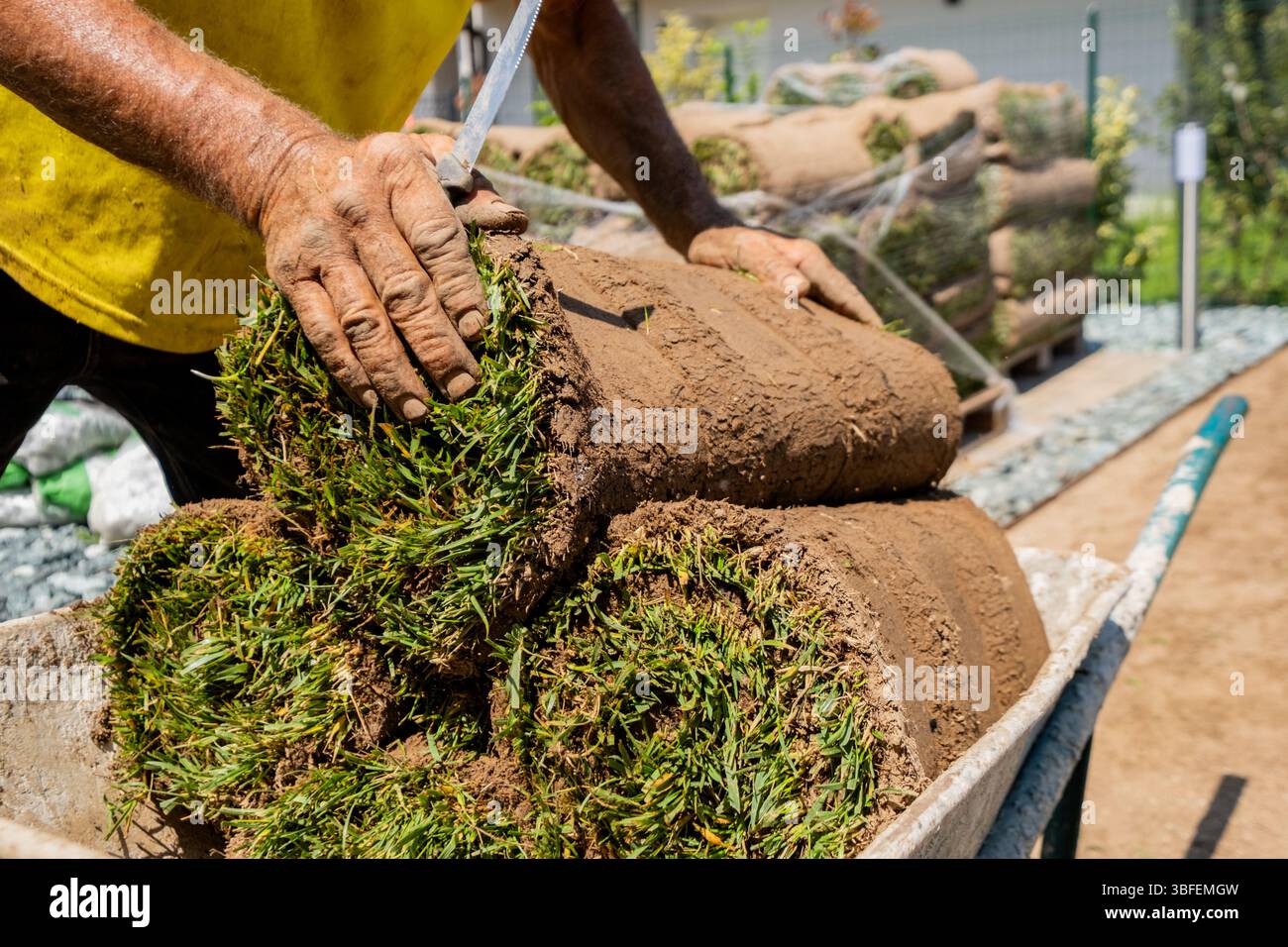 Primo piano delle mani del giardiniere che sollevano rotoli di erba da una carriola durante l'installazione del prato. Utile per l'architettura paesaggistica, il lavoro manuale e il lavoro all'aperto Foto Stock