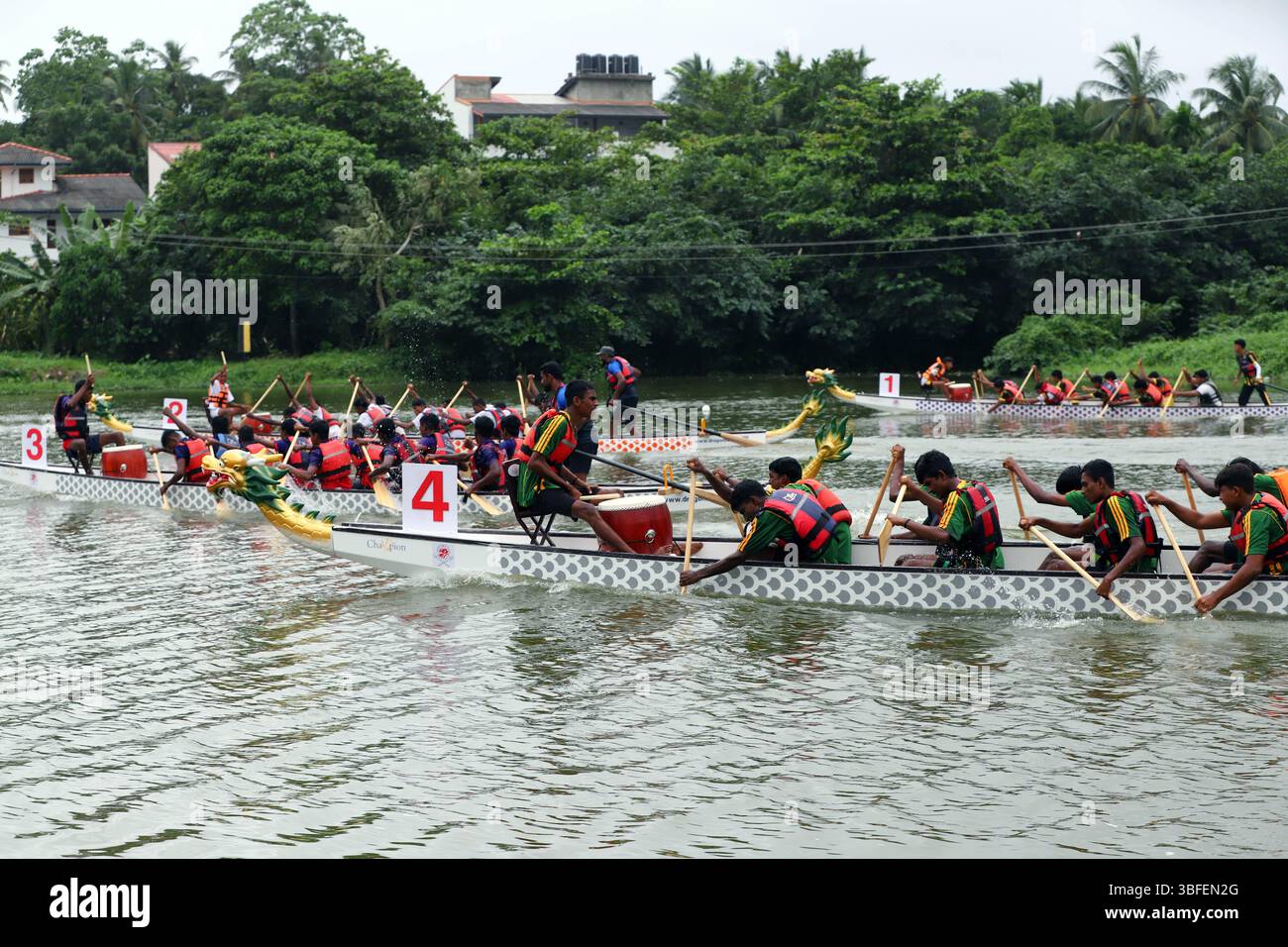 (250601) -- KOTTE, 1 giugno 2025 (Xinhua) -- le persone prendono parte al Dragon Boat Festival 2025 China-Sri Lanka Friendship Cup Dragon Boat Championship a Kotte, Sri Lanka, il 31 maggio 2025. In un gesto di diplomazia sportiva e di scambio culturale, l'ambasciata cinese in Sri Lanka ha donato cinque dragoni di standard internazionale da 12 persone al Ministero degli affari giovanili e dello Sport dello Sri Lanka. La donazione è stata formalmente effettuata sabato al Dragon Boat Festival 2025 China-Sri Lanka Friendship Cup Dragon Boat Championship. PER ANDARE CON "la Cina dona 5 dragoni standard allo Sri Lanka" Foto Stock