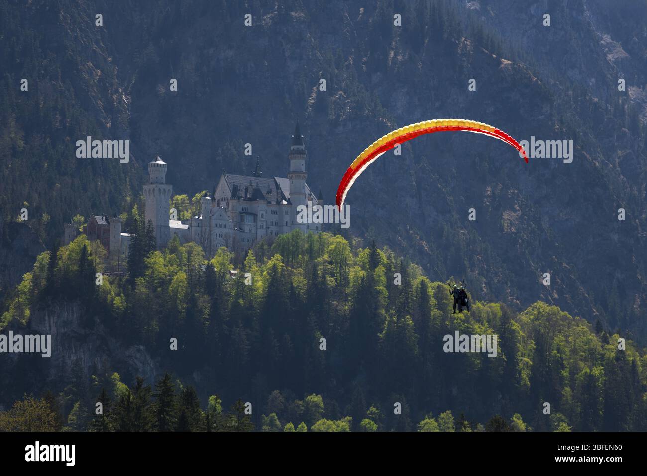 Un parapendio sorvola il castello di Neuschwanstein sullo sfondo di una montagna, tandem, Schwangau vicino a Fuessen, Ostallgaeu, Svevia, Baviera, G. Foto Stock