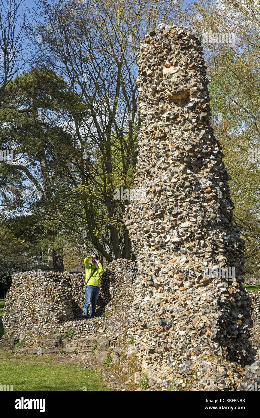 Donna fotografata, rovine, alberi, Abbazia di St Edmund, Bury St Edmunds, West Suffolk, Inghilterra, Gran Bretagna Foto Stock