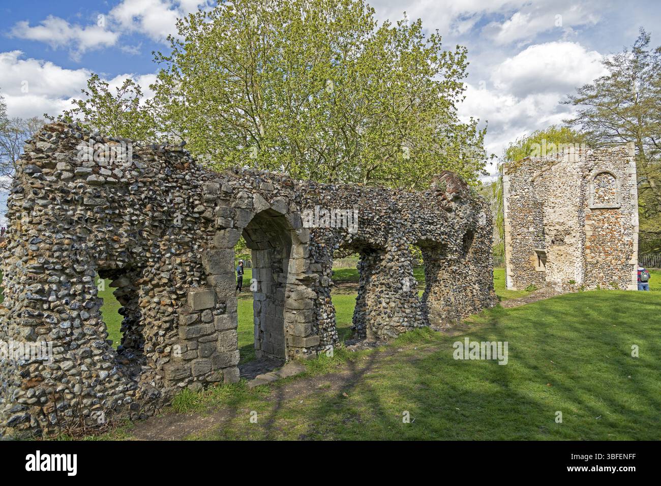 Rovine, la torre Dovecote, l'abbazia di St Edmund, Bury St Edmunds, West Suffolk, Inghilterra, Gran Bretagna Foto Stock