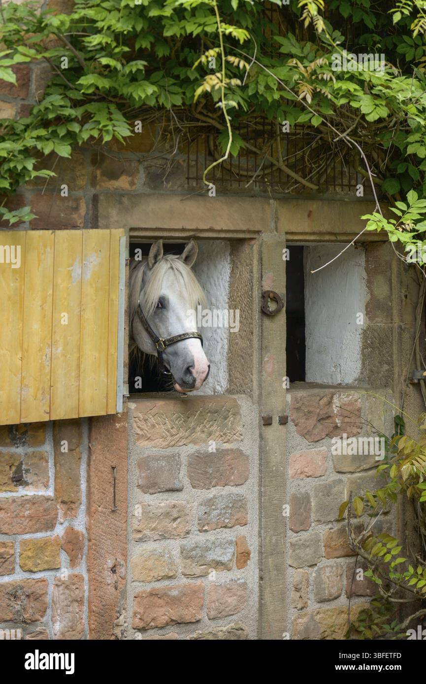La vista dalla finestra Foto Stock