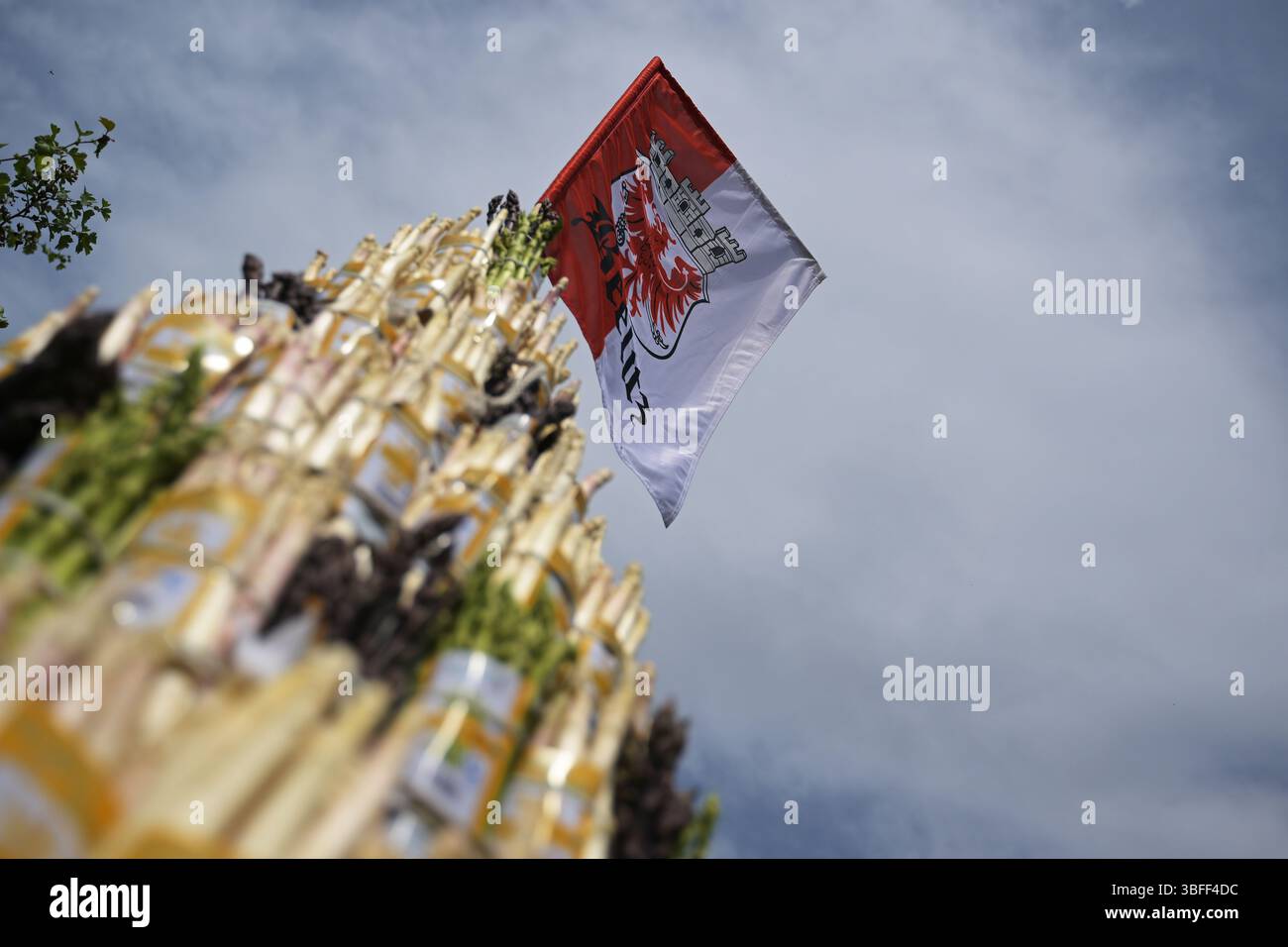 Beelitz, Germania. 1 giugno 2025. Una piramide di asparagi fatta di asparagi bianchi, neri e verdi viene presentata durante la sfilata al Beelitz Asparagus Festival. La bandiera di Beelitz con lo stemma della città vola in cima alla piramide. L'evento è il momento culminante delle celebrazioni di più giorni nella città che cresce gli asparagi. Credito: Michael Bahlo/dpa/Alamy Live News Foto Stock