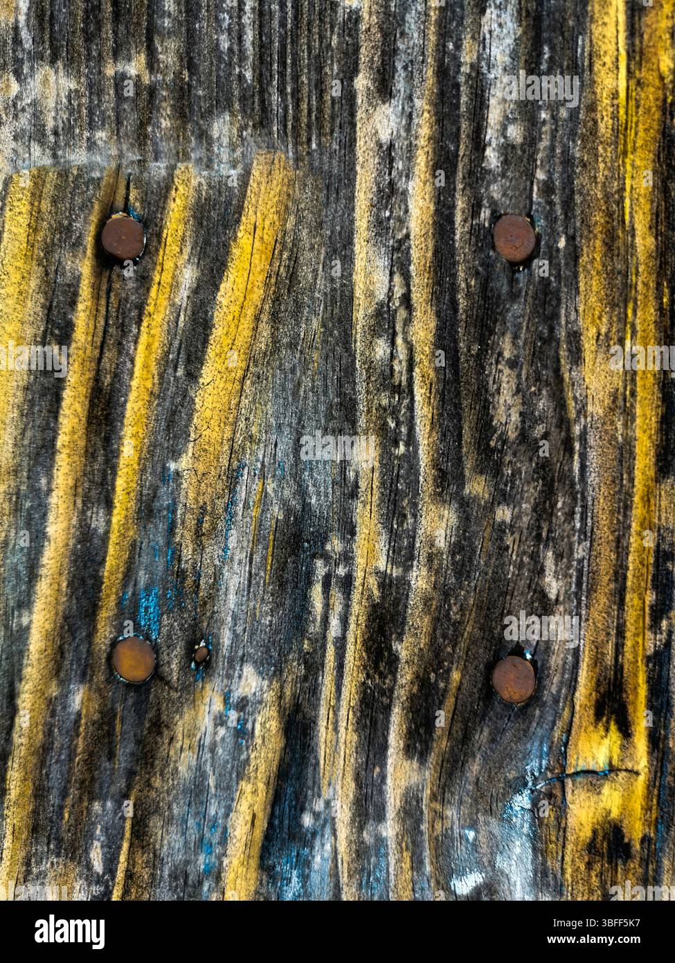 Primo piano dettagliato mostra una superficie in legno invecchiato con strisce gialle uniche e chiodi arrugginiti. Foto Stock
