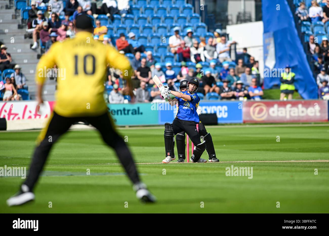 Hove UK 1 giugno 2025 - John Simpson dei Sussex Sharks batte durante la partita di cricket T20 Vitality Blast tra Sussex Sharks e Gloucestershire al 1st Central County Ground di Hove: Credit Simon Dack /TPI/ Alamy Live News Foto Stock