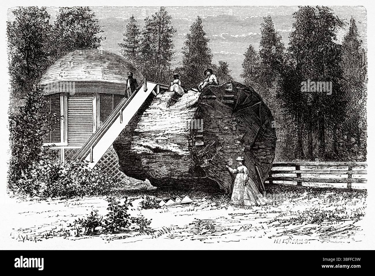 Casa costruita sul ceppo di un grande albero. Calaveras Big Trees State Park, Ebbetts Pass National Scenic Byway, California. Stati Uniti d'America. Disegno di Taylor. Viaggio da Washington a San Francisco, 1868 di Lambert Marius Laurent Louis Simonin (1830-1886) le Tour du Monde 1874 Foto Stock