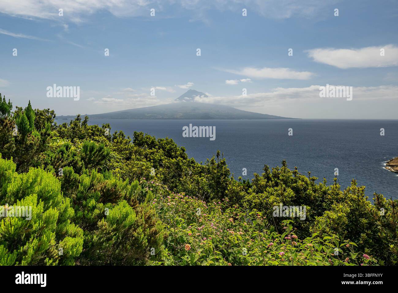 Faial POR, Themenbild Reisen, Insel Faial, Azoren, Portogallo, 01.06.2025. auf dem Wanderweg am Monte Queimado bei Horta: Aussicht auf den Pico - den hoechsten Berg Portugals - auf der gleichnamigen Nachbarinsel POR, Themenbild Reisen, Insel Faial, Azoren, Portogallo, 01.06.2025. *** Faial POR, foto a tema viaggi, isola di Faial, Azzorre, Portogallo, 01 06 2025 sul sentiero escursionistico sul Monte Queimado vicino a Horta Vista di Pico, la montagna più alta del Portogallo sull'omonima isola vicina POR, foto a tema viaggio, Isola di Faial, Azzorre, Portogallo, 01 06 2025 Copyright: xEibner-Pressefoto/Heik Foto Stock