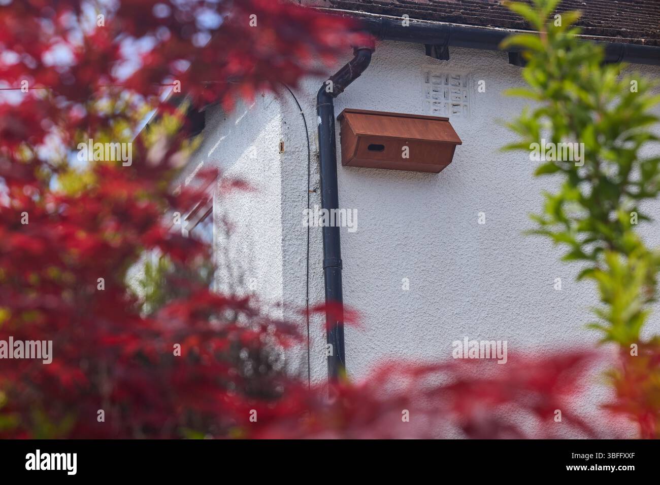 Haughton Lane, Swinton, GTR Manchester, Swift box sul lato di una casa Foto Stock