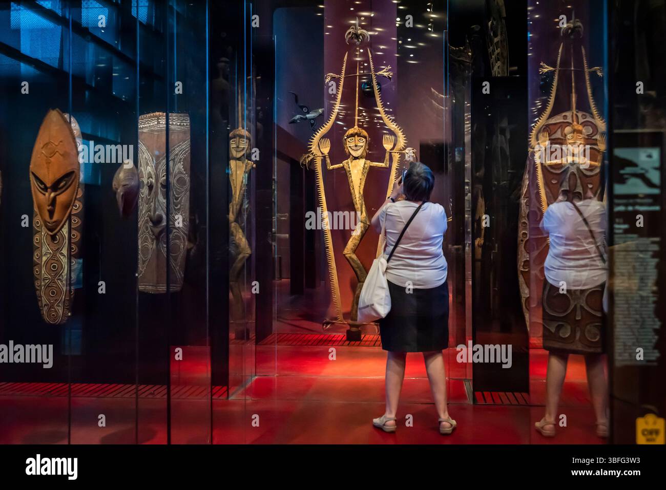 Musée du quai Branly - Jacques Chirac, un museo progettato da Jean Nouvel che presenta l'arte e le culture indigene di Africa, Asia, Oceania e Th Foto Stock