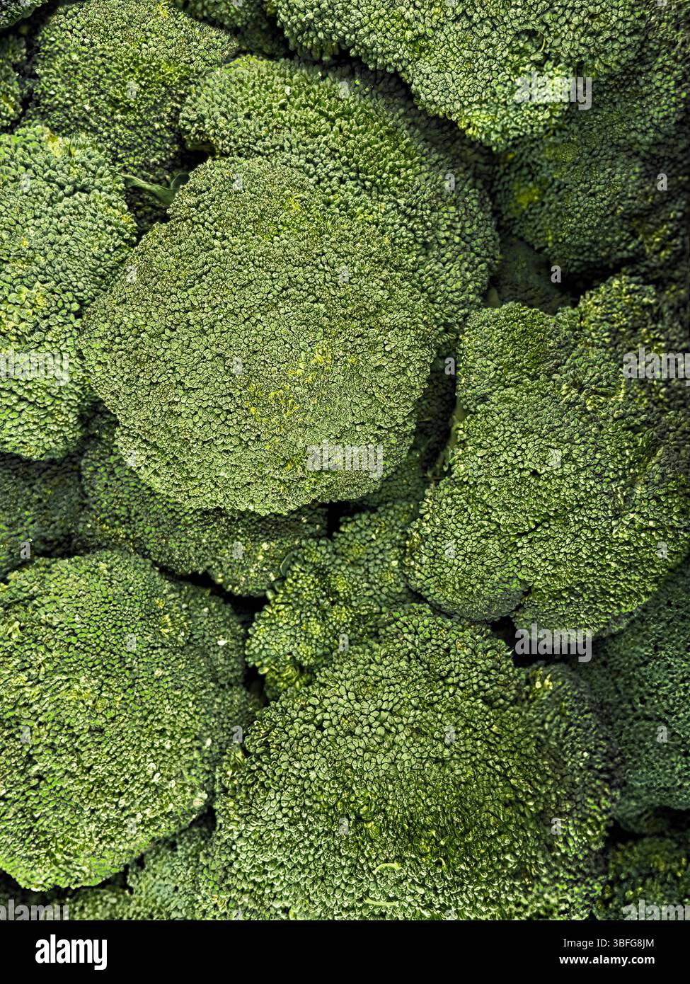 Broccoli verdi freschi in un mercato agricolo Foto Stock
