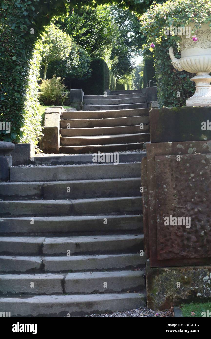 Gradini di pietra che si innalzano fino all'arco di siepe, Biddulph Grange, Staffordshire, Regno Unito Foto Stock