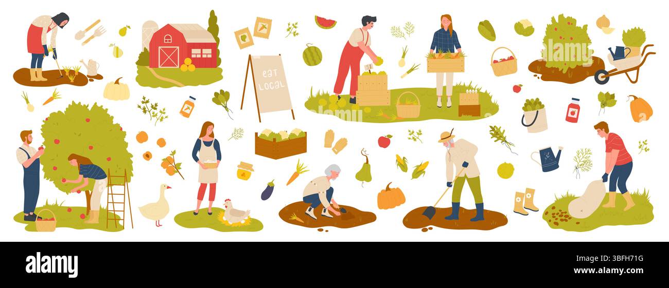 Persone agricoltori impegnati in attività agricole quali la piantagione, la raccolta e la raccolta di prodotti freschi. Attrezzi agricoli, frutta, verdura, cesti. Illustrazione dei vettori ecologici, rurali e dell'agricoltura biologica Illustrazione Vettoriale