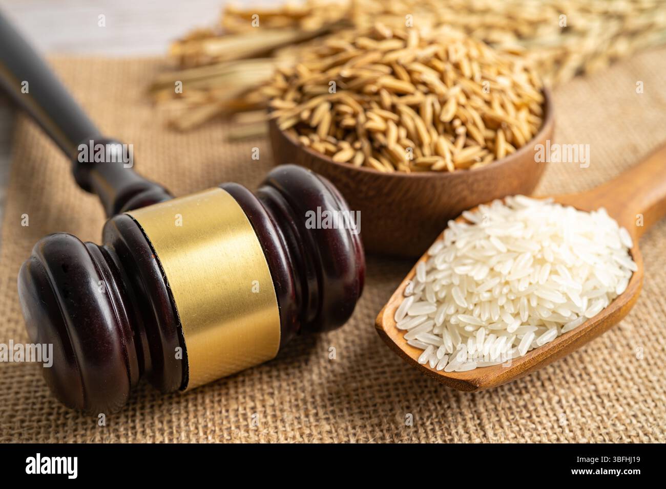 Giudice martello Gavel con riso di grano buono da agricoltura fattoria. Concetto di giustizia e diritto. Foto Stock