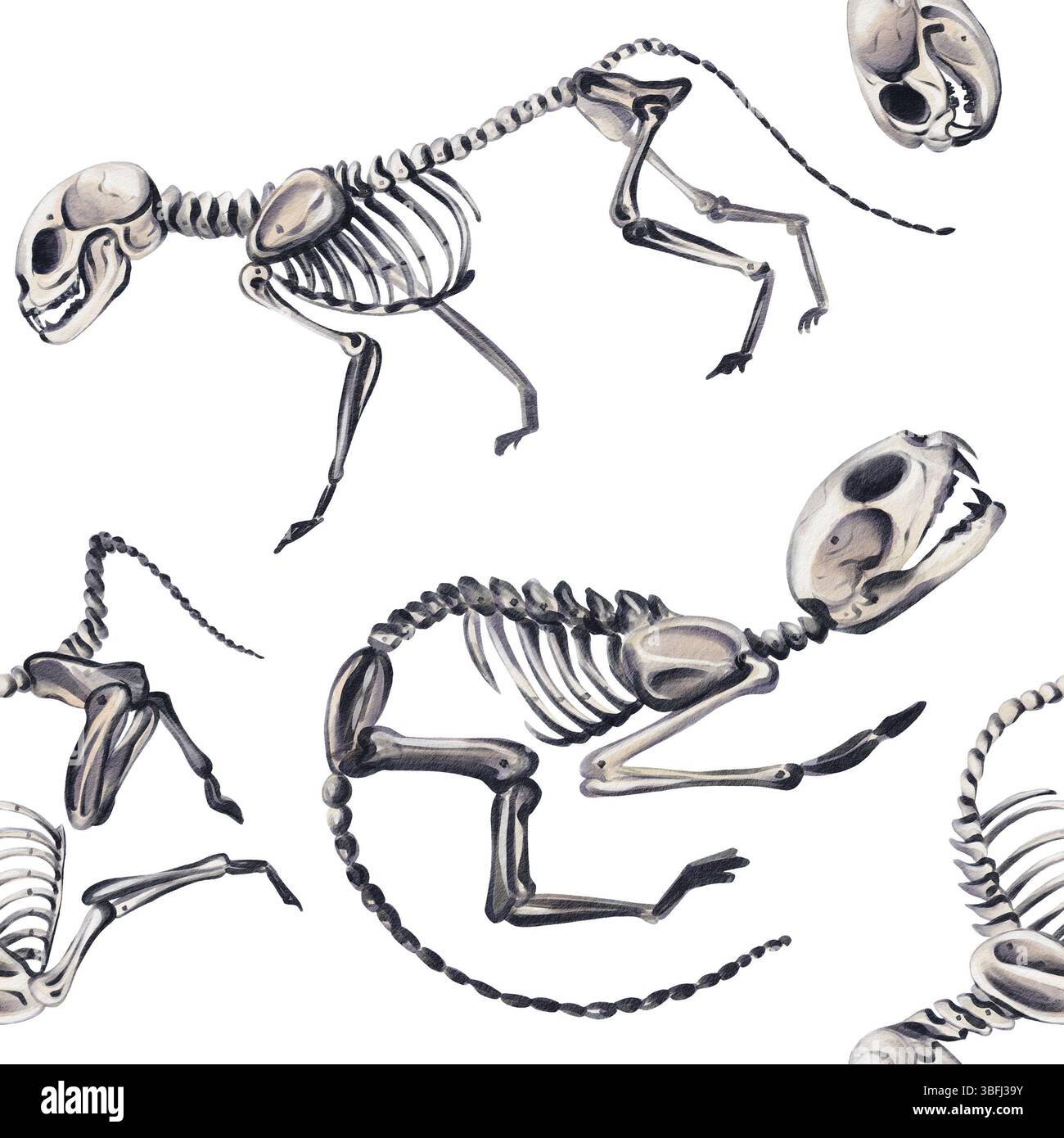 Motivo senza cuciture con scheletri di animali. Animali domestici e gatti. Scheletri anatomici. Veterinario e Halloween. Illustrazione acquerello senza Foto Stock