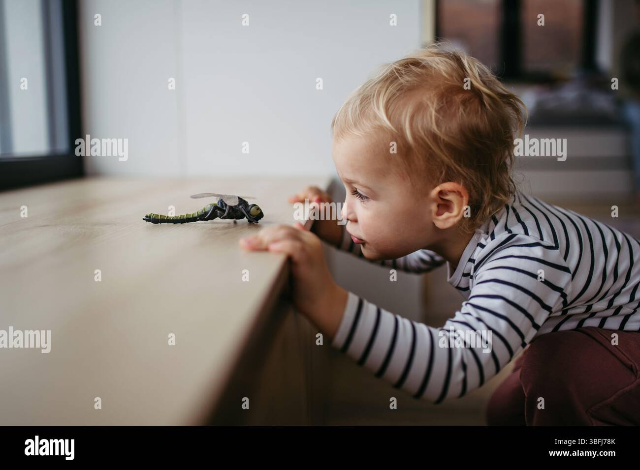 Un bambino carino sta giocando con il giocattolo delle libellule a casa. Foto Stock