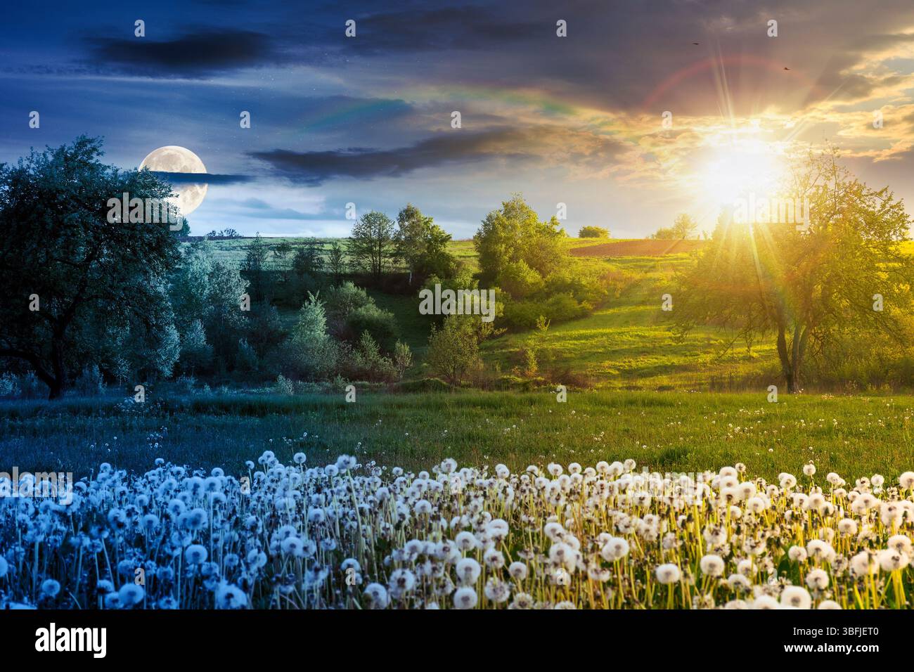 paesaggio rurale montuoso con prato a dente di leone in primavera. concetto di cambiamento di orario diurno e notturno. splendida campagna all'aperto con pascoli floreali e. Foto Stock