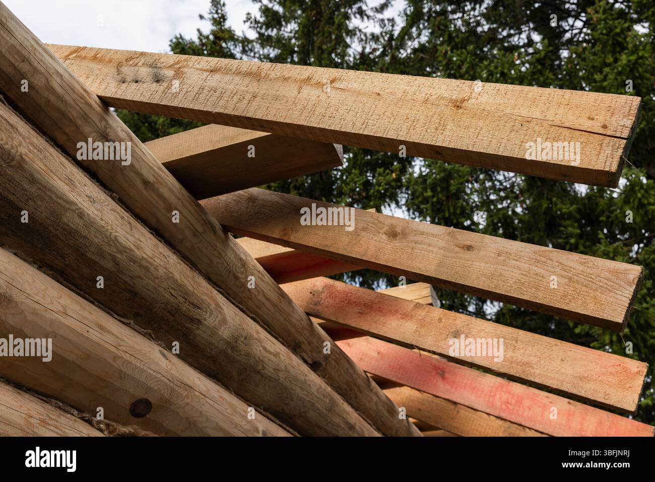 Tronchi e tavole di legno disposti in una cornice, che mette in risalto le trame naturali e la scena di costruzione all'aperto, ombreggiati da alti alberi verdi sotto un cle Foto Stock