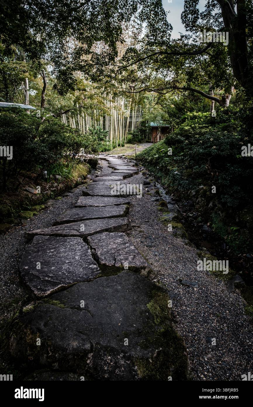 Sentiero in pietra che conduce attraverso il giardino giapponese Foto Stock