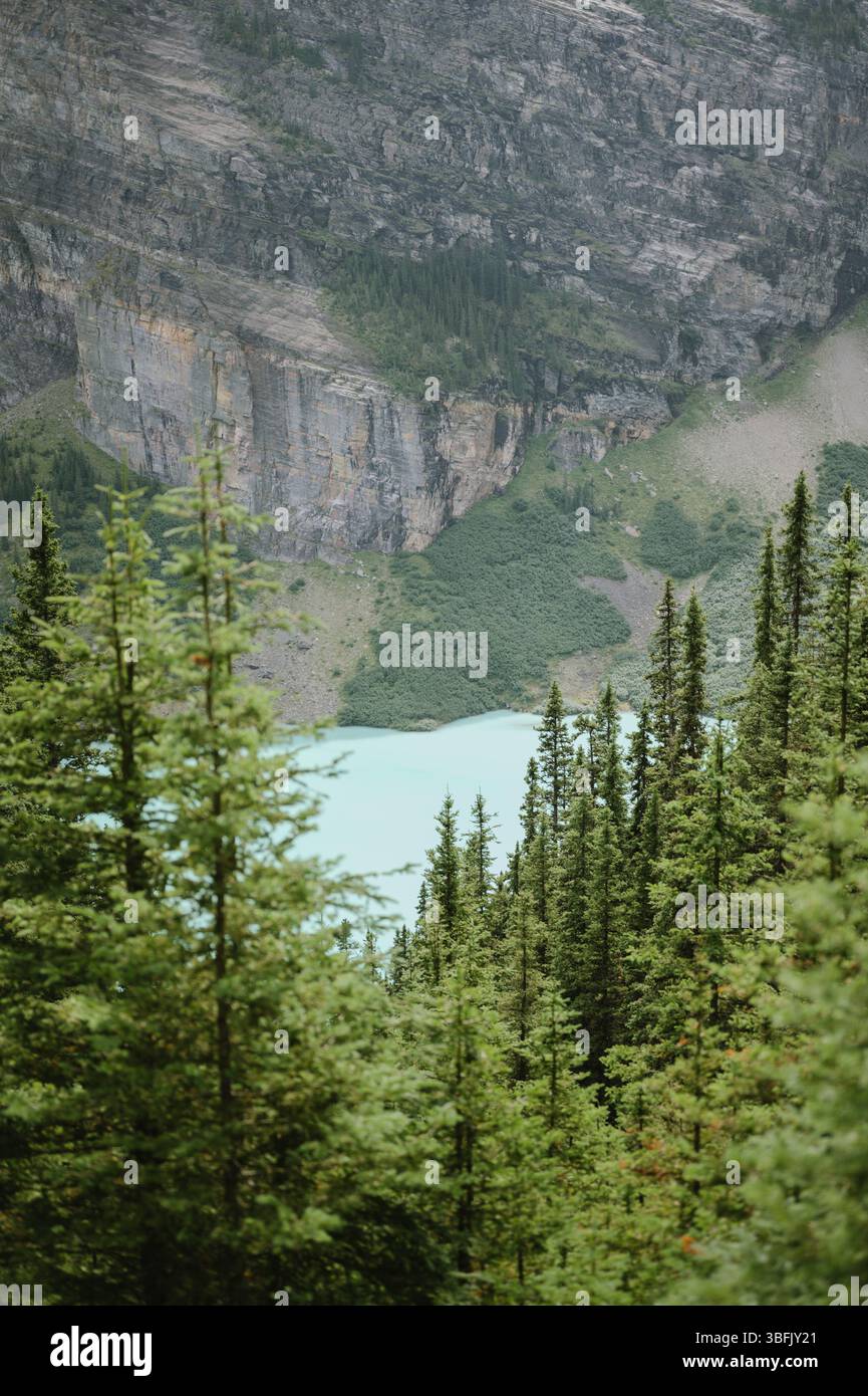 Vista ravvicinata del Lago Louise con pini e scogliere rocciose in estate Foto Stock