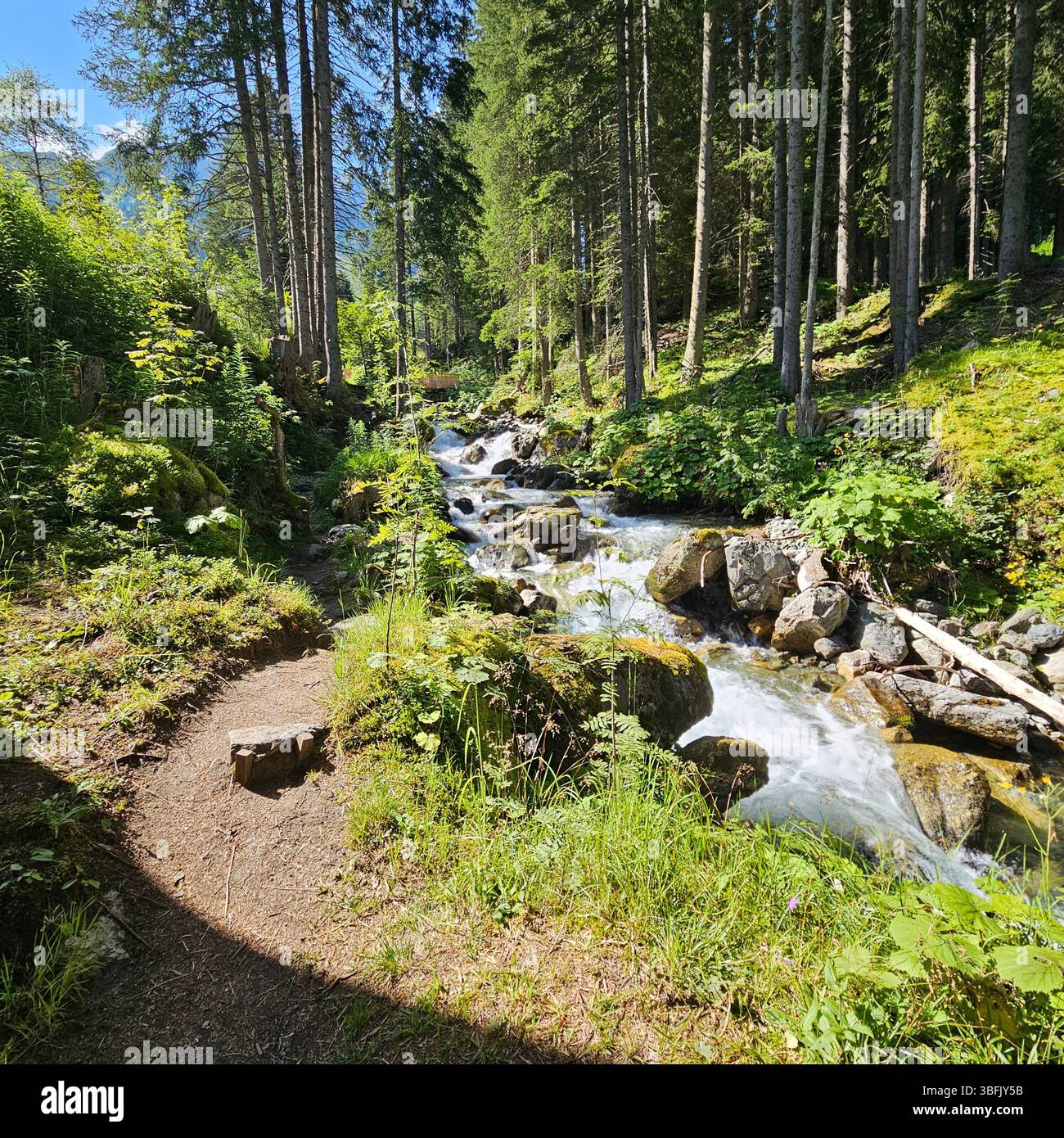 Alpi austriache paesaggio - Immagine stock catturata con smartphone