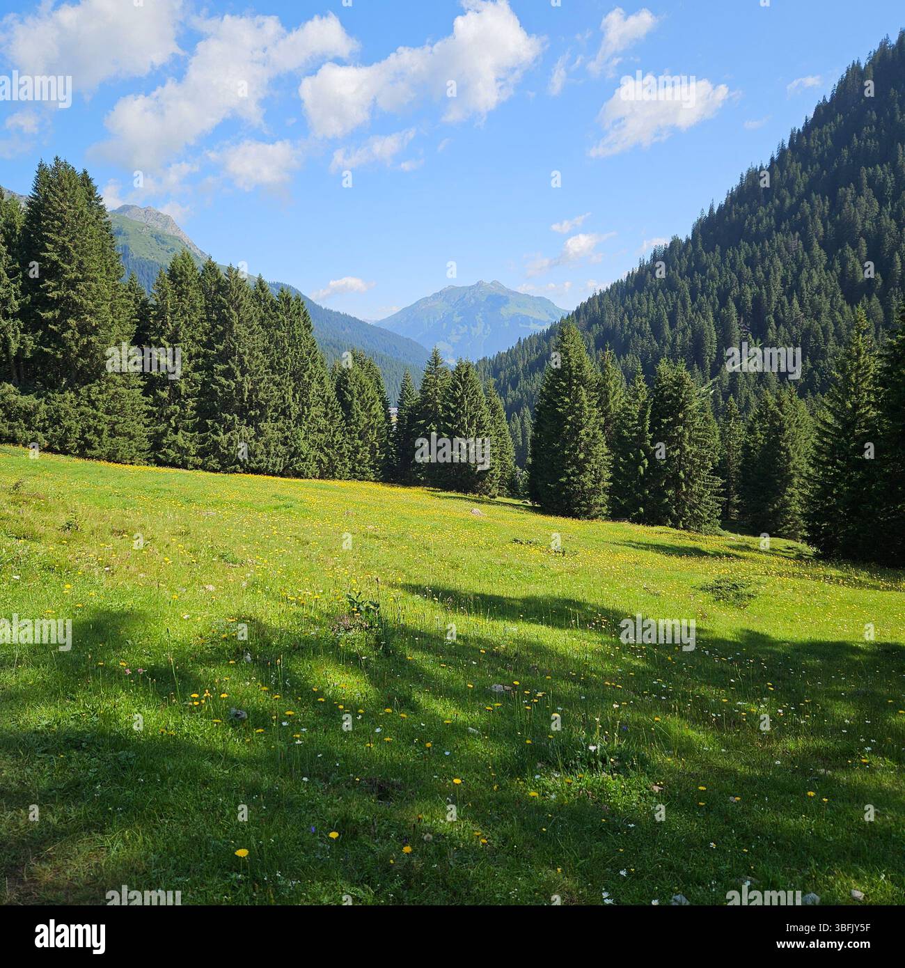 Alpi austriache paesaggio - Immagine stock catturata con smartphone