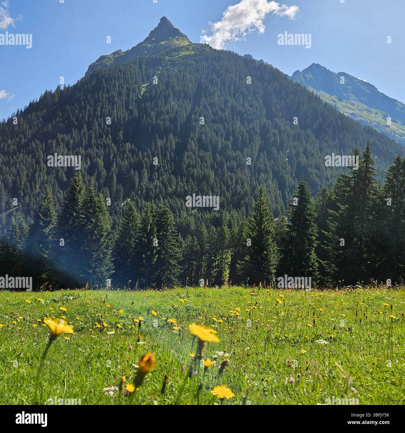 Alpi austriache paesaggio - Immagine stock catturata con smartphone