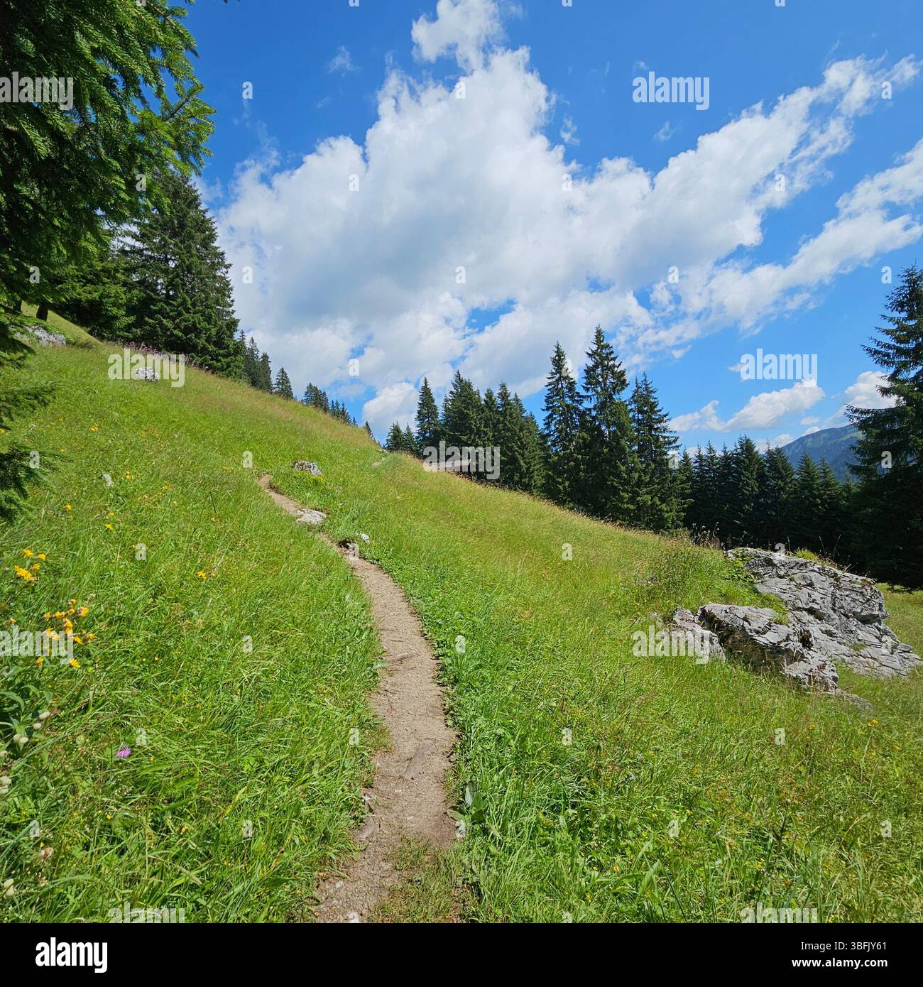 Alpi austriache paesaggio - Immagine stock catturata con smartphone