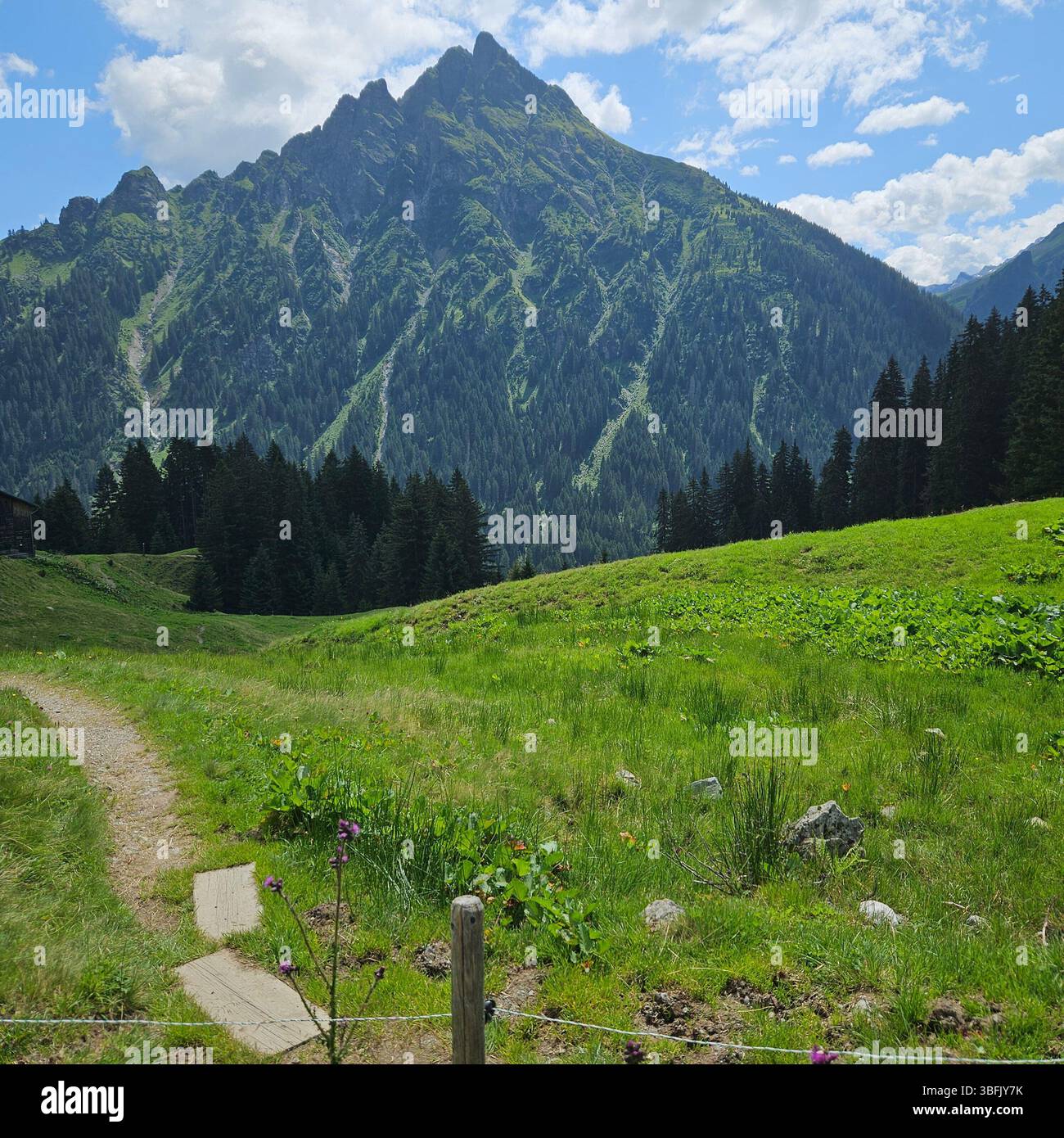 Alpi austriache paesaggio - Immagine stock catturata con smartphone
