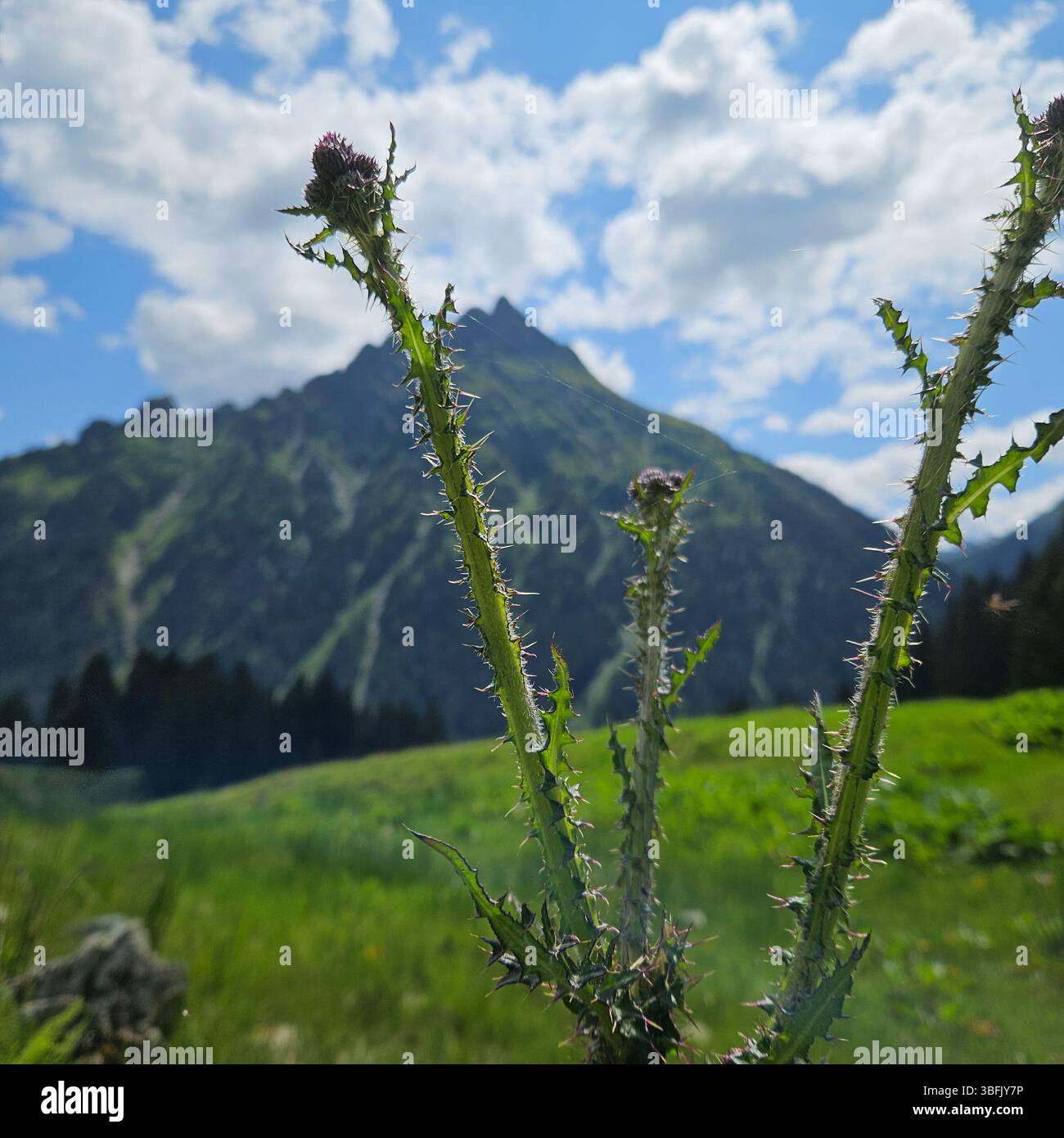 Alpi austriache paesaggio - Immagine stock catturata con smartphone