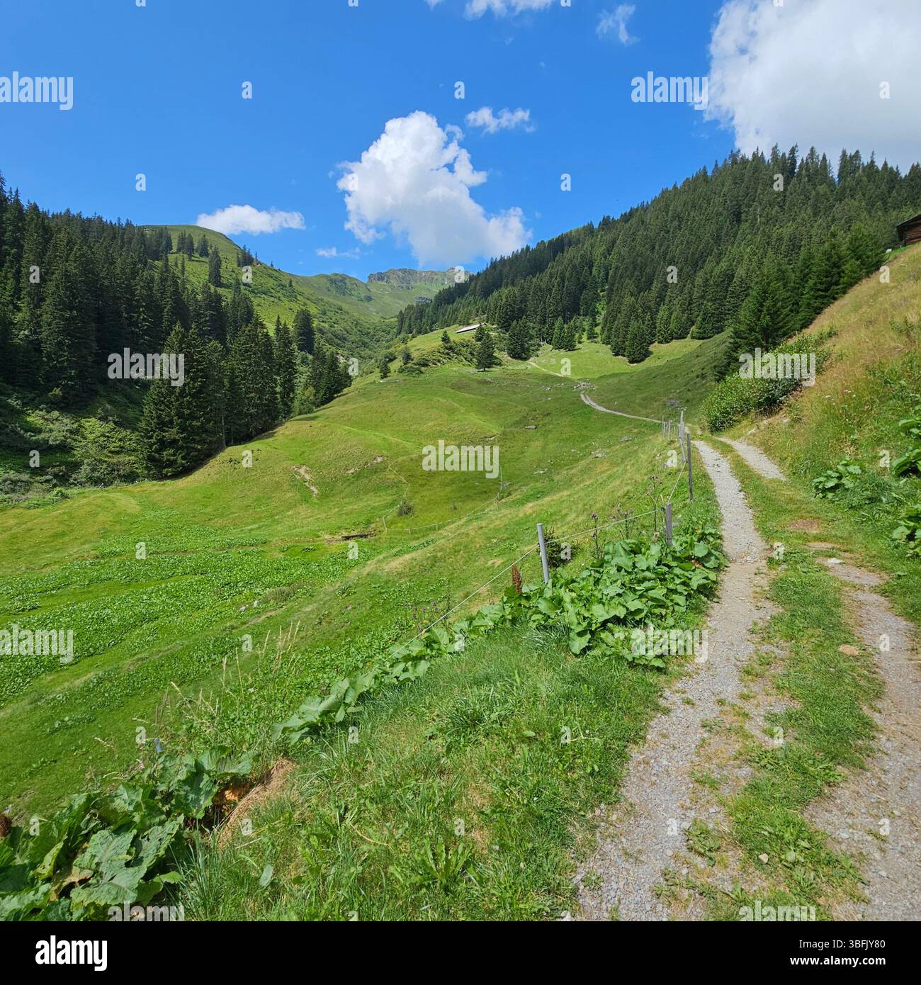 Alpi austriache paesaggio - Immagine stock catturata con smartphone