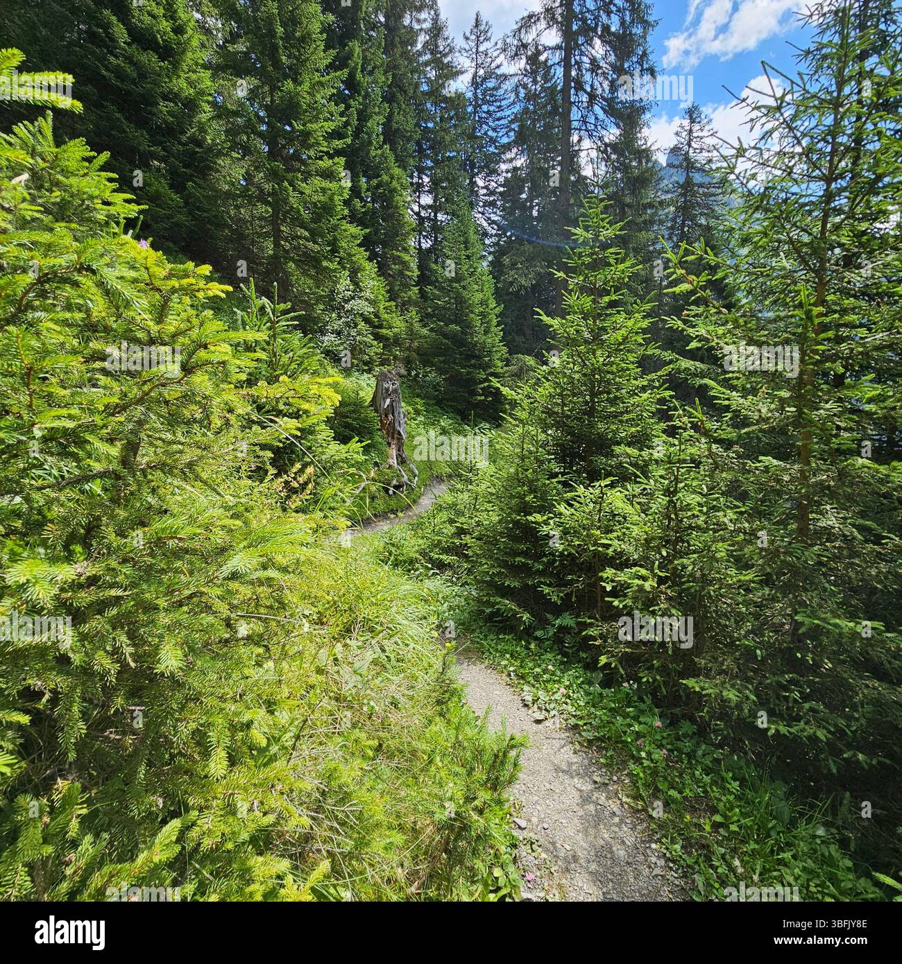 Alpi austriache paesaggio - Immagine stock catturata con smartphone