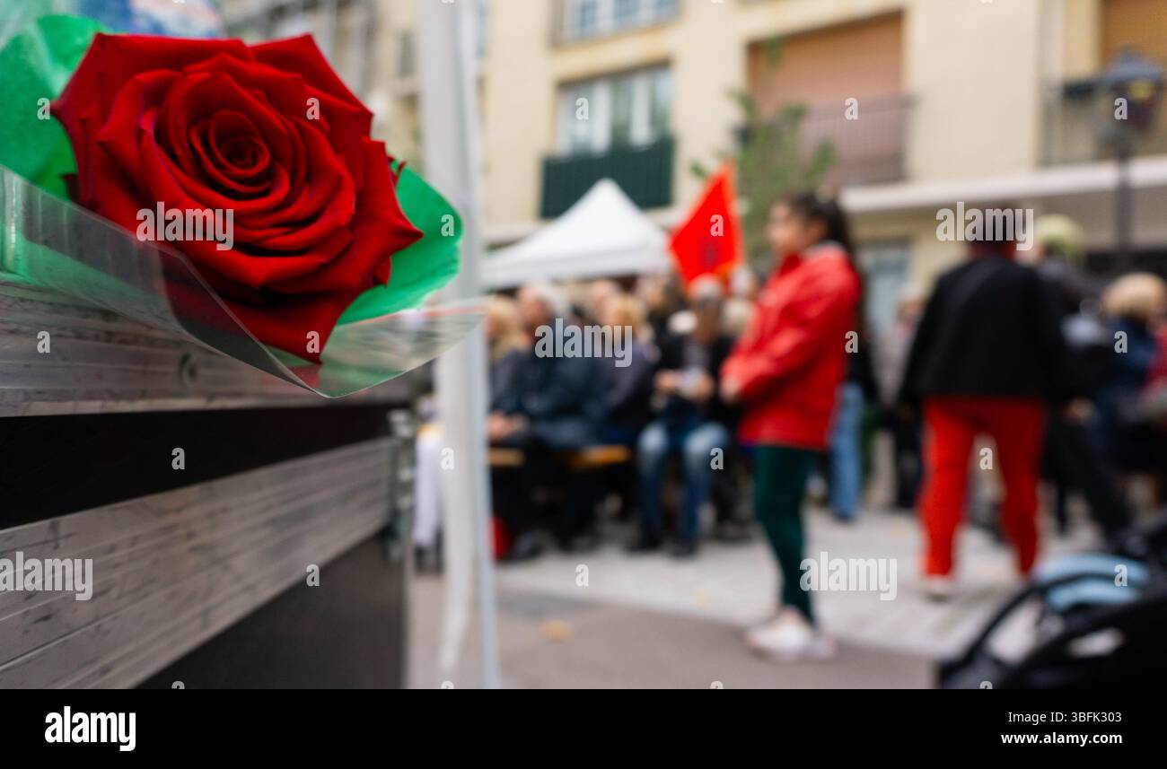 Una rosa rossa al festival comune. Foto Stock