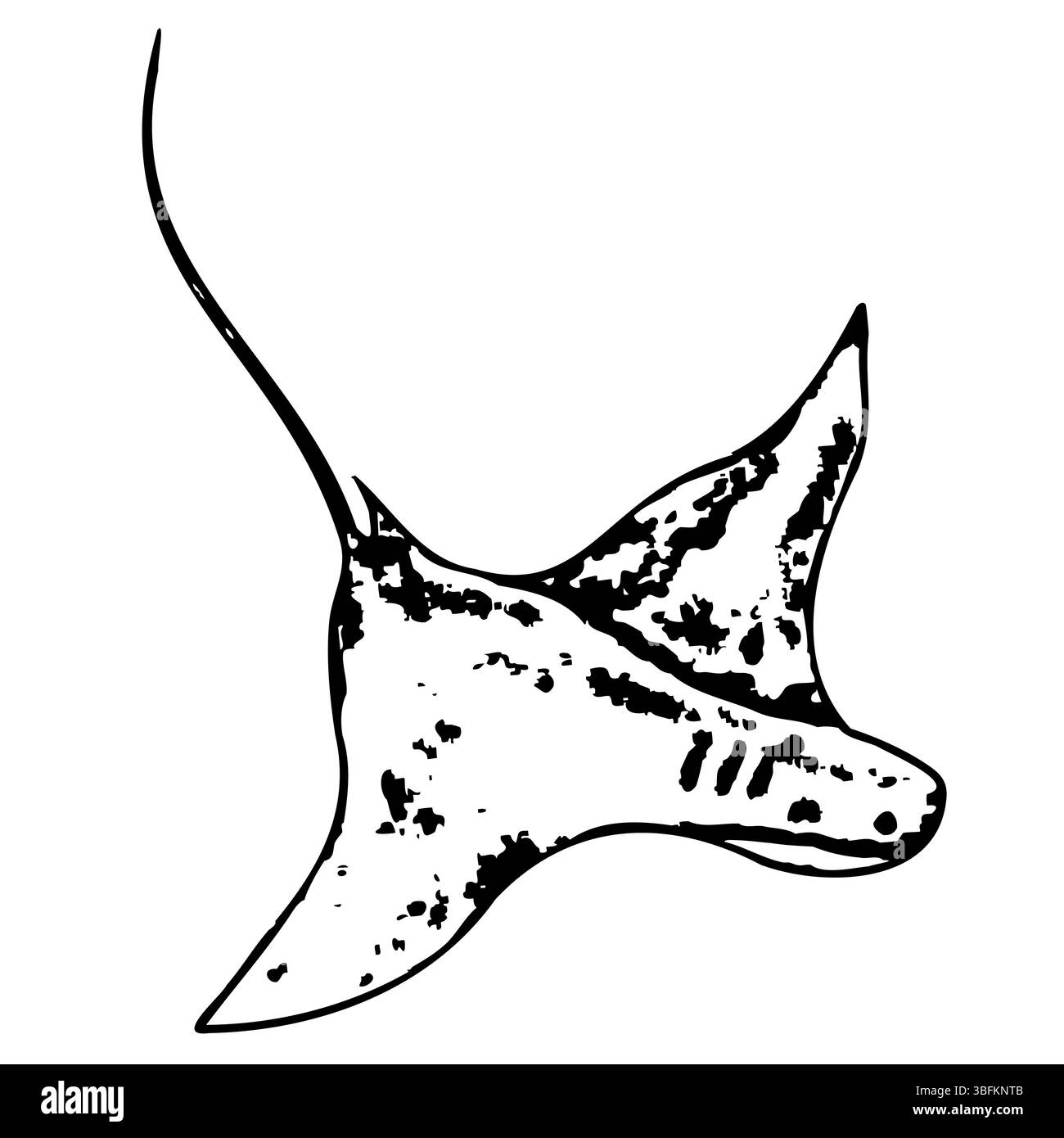 Avventura naturalistica marina caratterizzata da una maestosa silhouette di pastinaca. Illustrazione vettoriale. Pesce nero su sfondo isolato. Parco marino oceanico per clip art Illustrazione Vettoriale