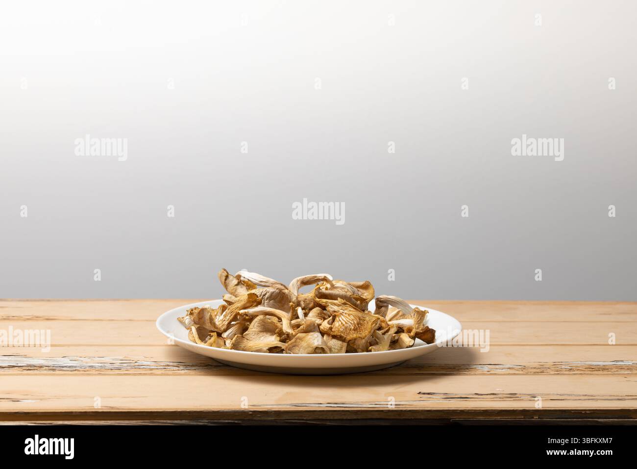 Funghi di ostriche essiccati disposti su un piatto di porcellana bianca, sfocatura soffice dello sfondo in studio angolato per evidenziare la consistenza naturale del cibo Foto Stock