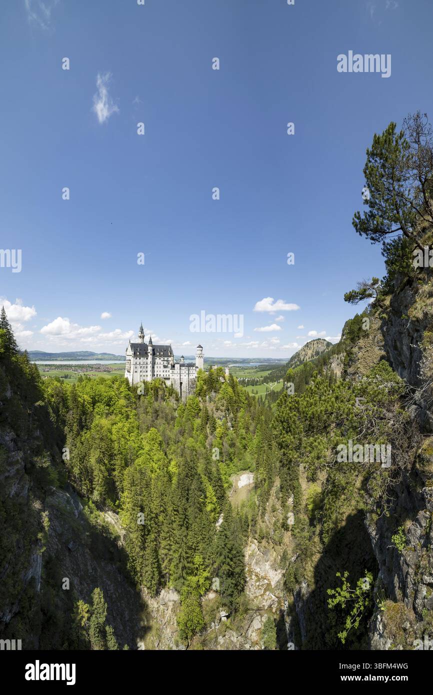 Castello di Neuschwanstein e gola di Poellat vicino a Hohenschwangau, strada romantica, Ostallgaeu, Baviera, Germania, Europa Foto Stock