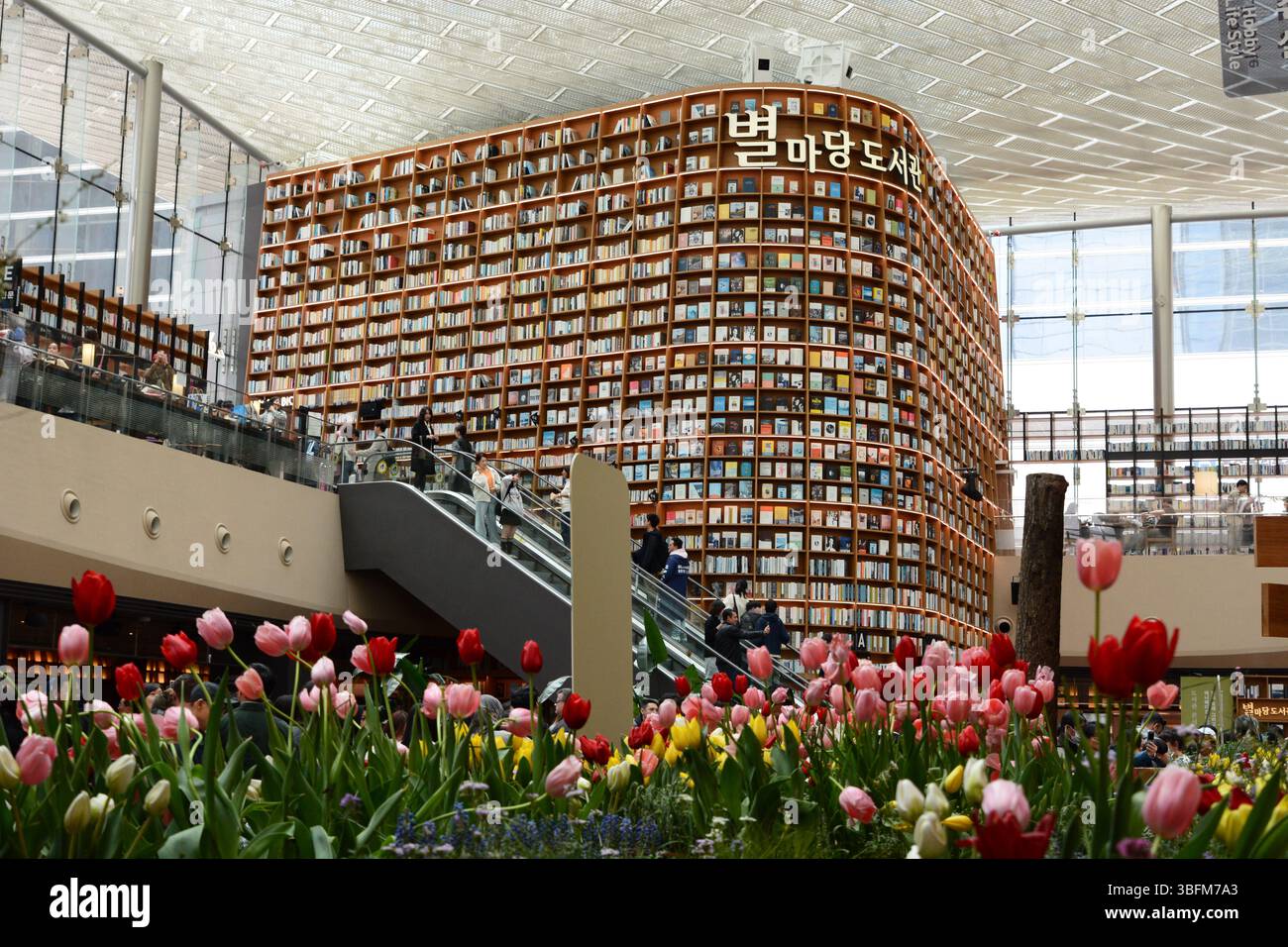 Biblioteca Starfield al centro commerciale Coex. Distretto di Gangnam. Seul. Corea del Sud Foto Stock