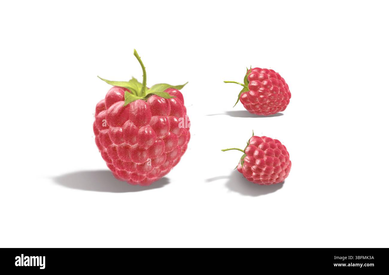 Mockup di lamponi, viste diverse, profondità di campo Foto Stock