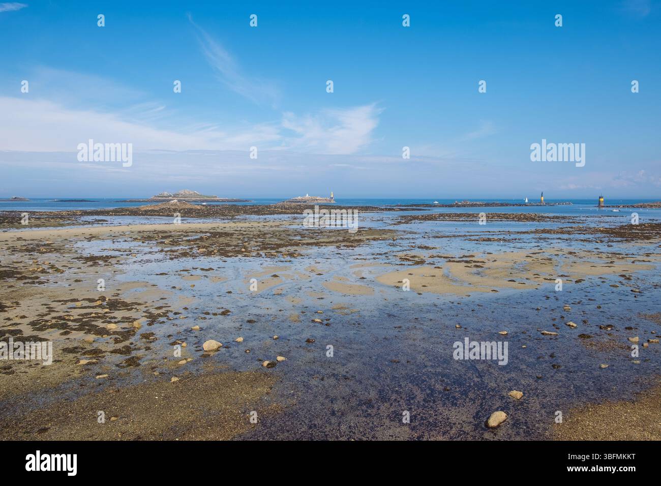 La costa di Roscoff in Bretagna, Francia settentrionale Foto Stock