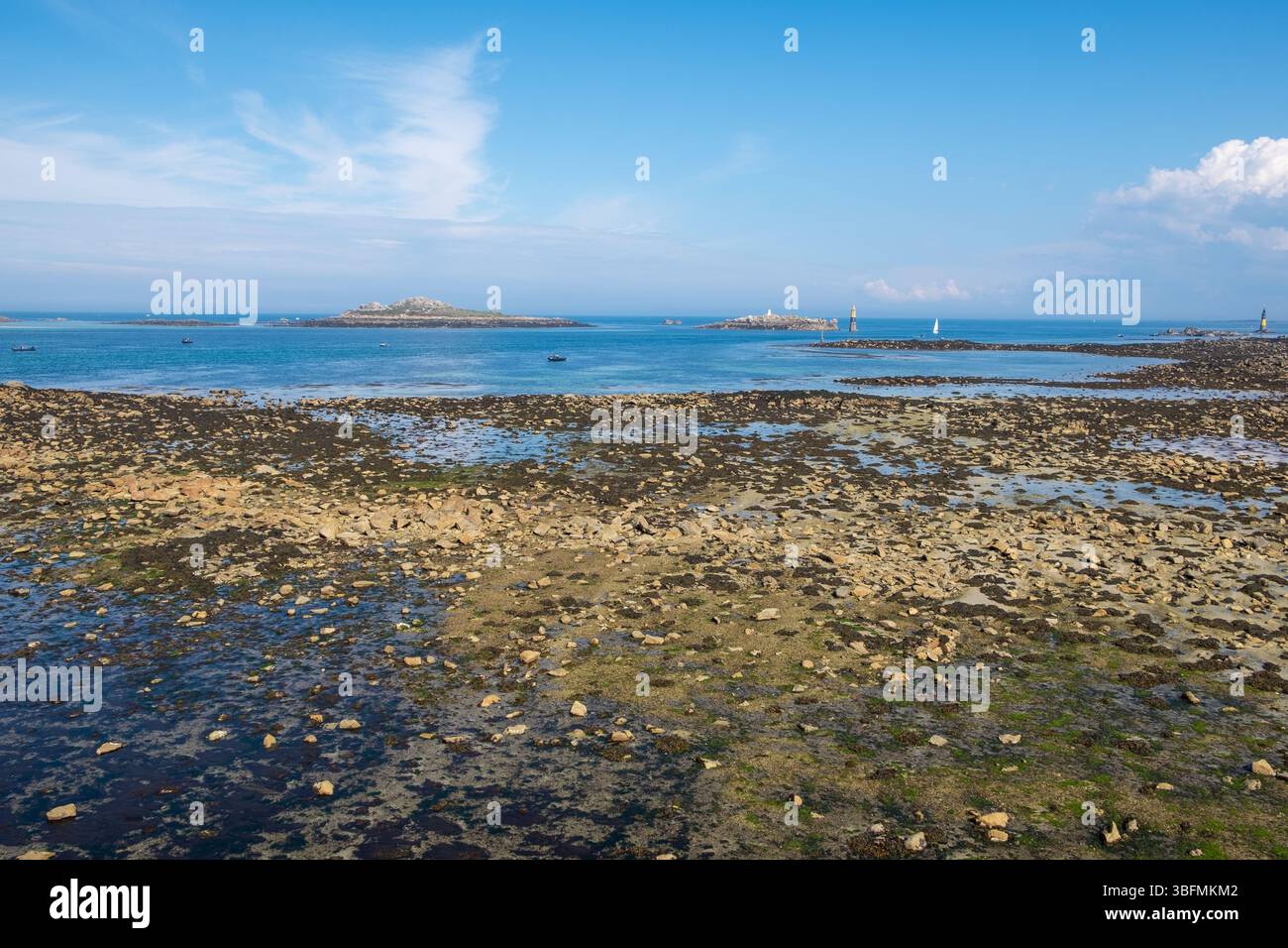 La costa di Roscoff in Bretagna, Francia settentrionale Foto Stock