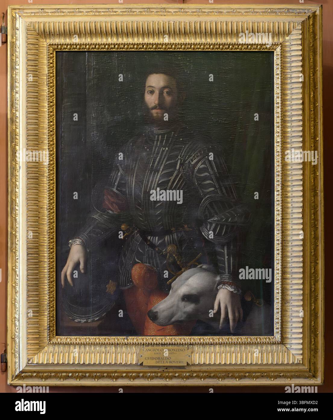 Bronzino, Ritratto di Guidobaldo della Rovere in armatura con cane bianco, 1530 circa, Palazzo Pitti, Firenze, Italia. Foto Stock
