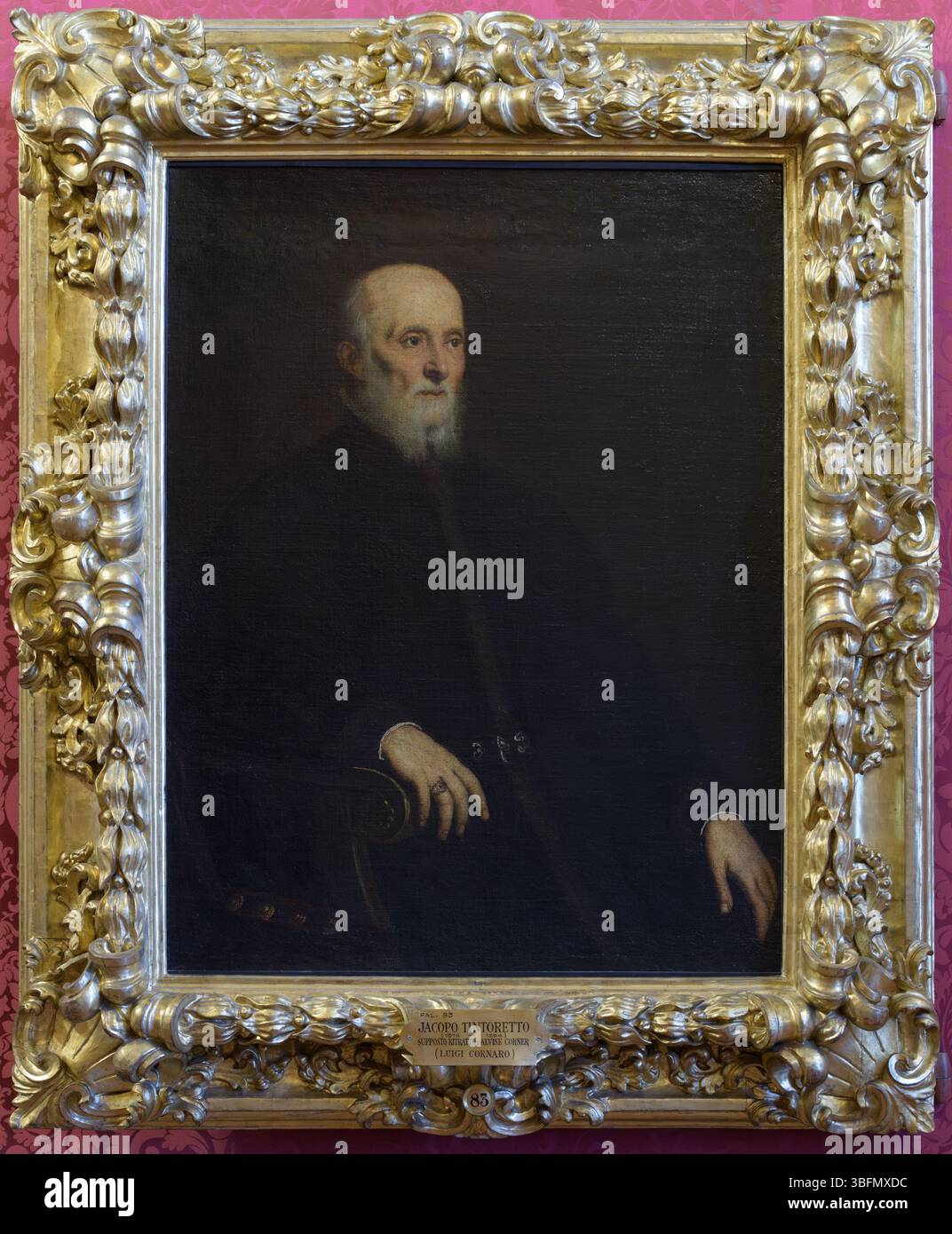 Jacopo Tintoretto, ritratto dell'anziano senatore veneziano con barba bianca seduta in abito scuro, fine XVI secolo, Palazzo Pitti, Firenze, Italia. Foto Stock
