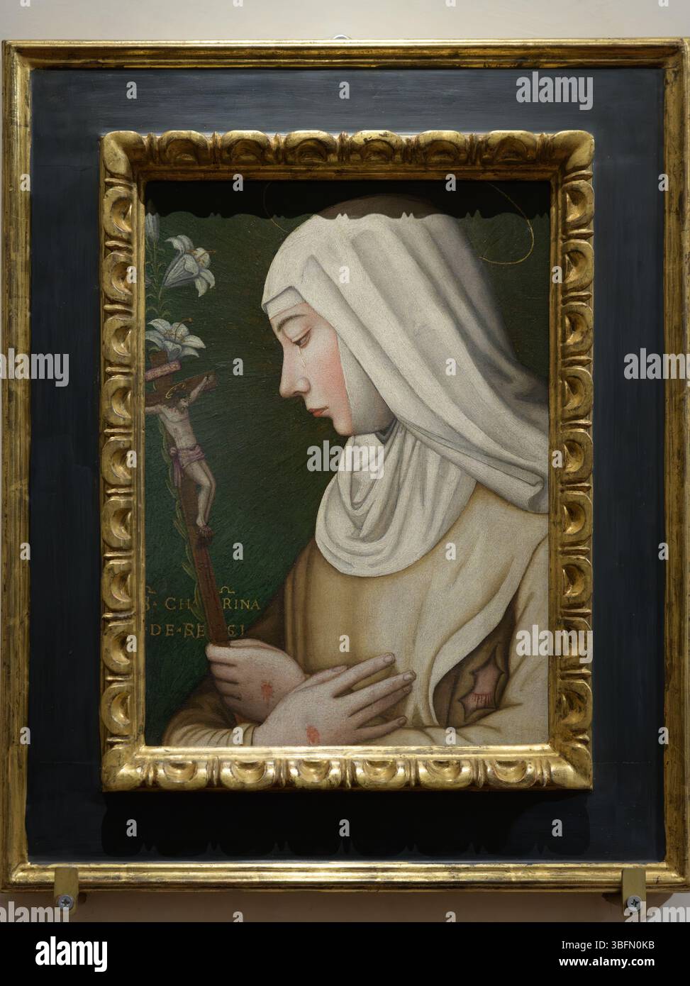 Plautilla Nelli e bottega, Santa Caterina da Siena o Santa Caterina de' Ricci in contemplazione, tavola, Cenacolo di San salvi, Firenze, Foto Stock