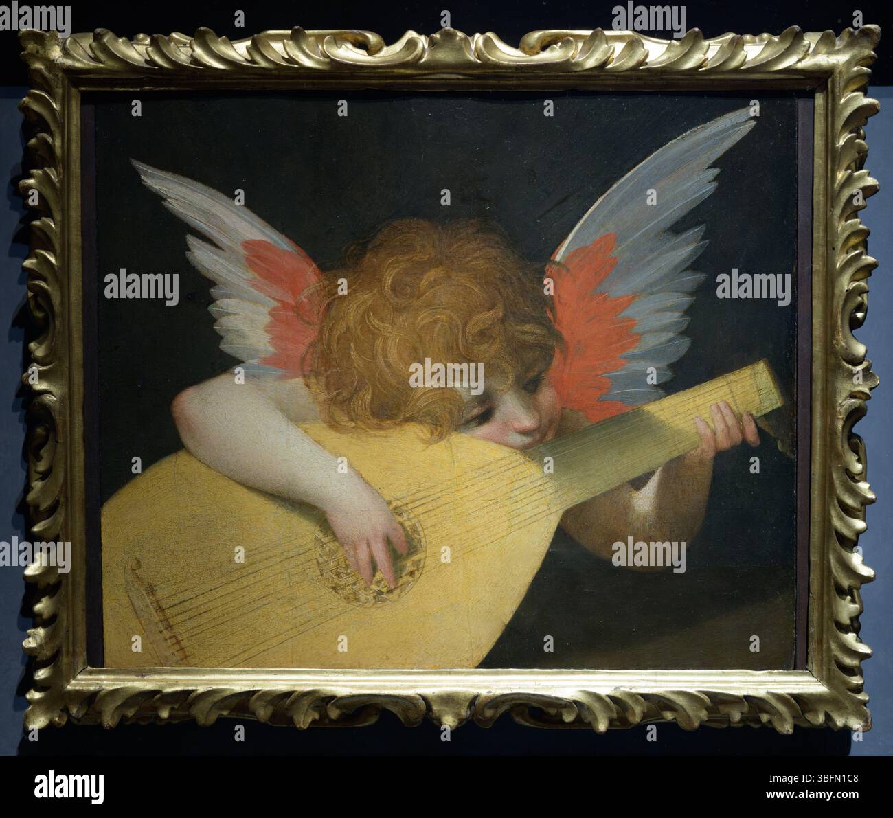 Cherub di Rosso Fiorentino che suona un liuto, olio su tavola datato 1521, raffigura un bambino alato con ricci rossi che suona un liuto, Galleria degli Uffizi, Firenze, Ita Foto Stock