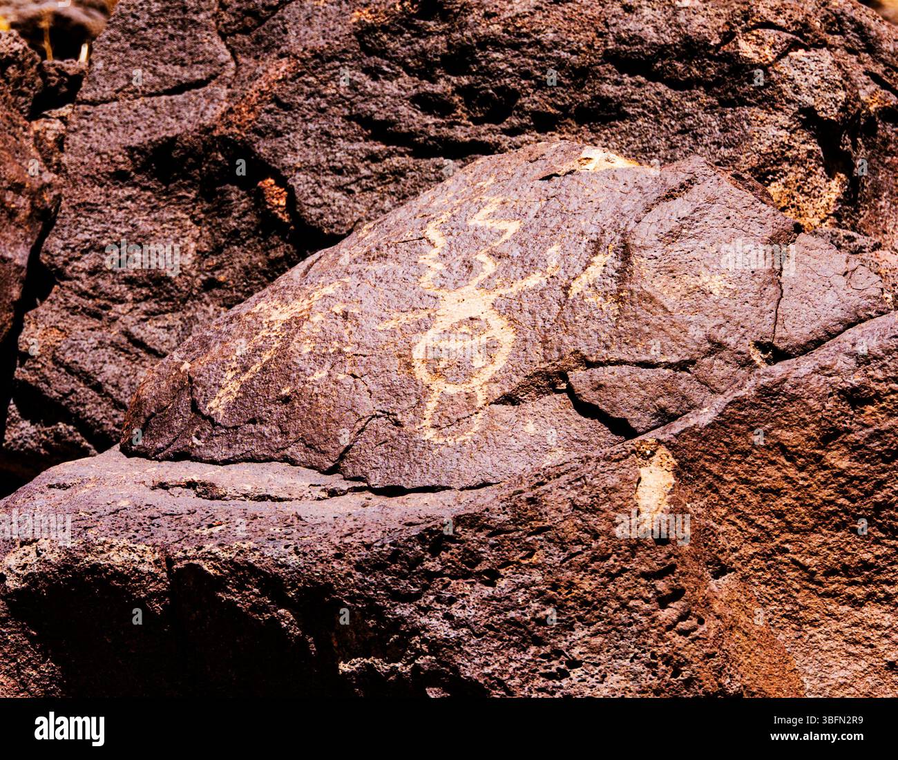 Antiche incisioni rupestri; Piedras Marcadas Canyon Trail; Petroglyph National Monument; Albuquerque; New Mexico; USA Foto Stock