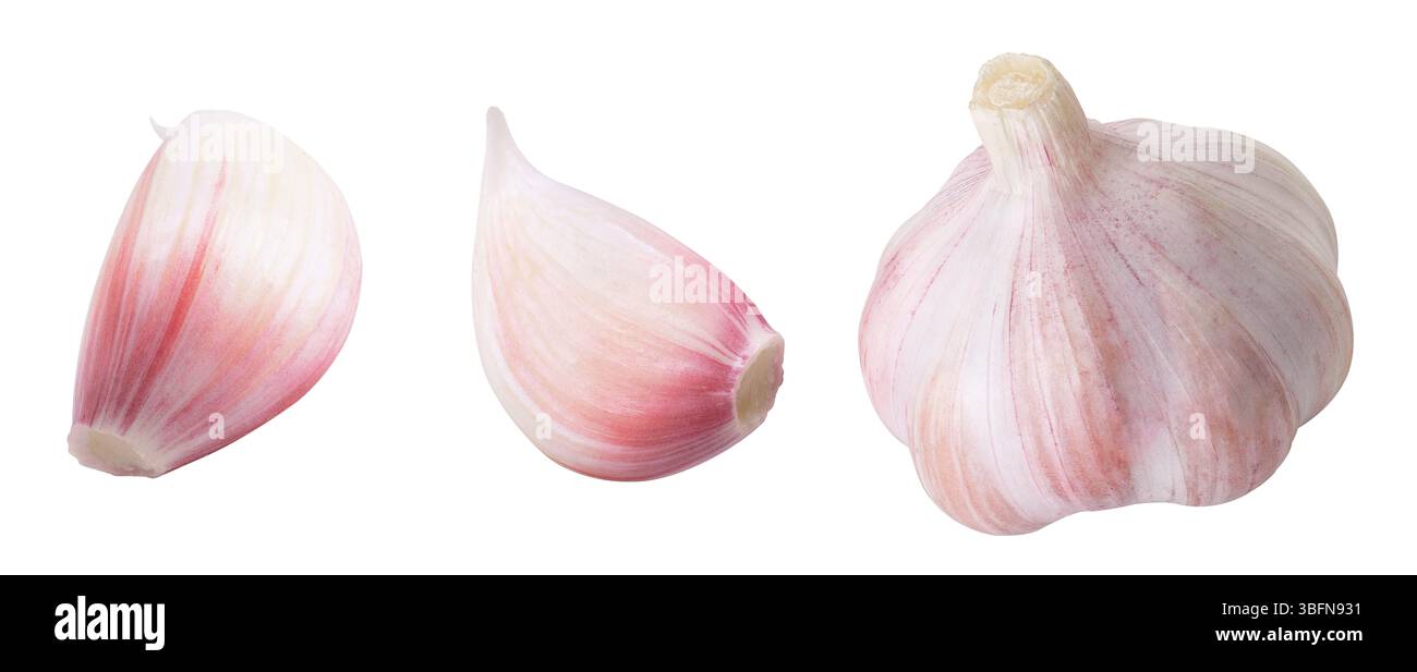 Raccolta di aglio su sfondo bianco isolato. Aglio e spicchi interi. Foto Stock