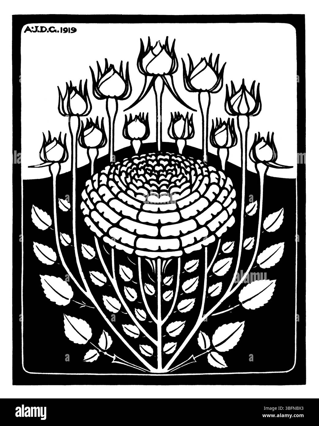 Incisione botanica di un cespuglio di rose in fiore di Julie de Graag, 1919. Arte olandese di pubblico dominio, ideale per studi di decorazione, stampa, editoria e botanica. Foto Stock